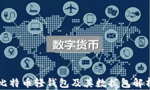 
比特币轻钱包及其数据包解析